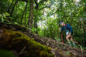 BIB: 
                            <button type="button" onclick="openModal(16008326)" class="btn btn-primary btn-sm float-right btn-popup" data-toggle="modal" data-target=".modal-high-quality">
                        <i class="fas fa-shopping-cart"></i> Add to Cart
                    </button>
                                            <button type="button" onclick="isThisMe(16008326, true)" class="btn btn-success btn-sm float-right btn-popup btn-isme hidden" data-toggle="tooltip" data-placement="bottom" title="นี่คือรูปของคุณใช่ไหม คลิกที่นี่เพื่อเอาเข้าอัลบั้ม">
                        <i class="fas fa-plus"></i> Add to album
                    </button>
                    <button type="button" onclick="isThisMe(16008326, false)" class="btn btn-warning btn-sm float-right btn-popup btn-isnotme hidden">
                        <i class="fas fa-ban"></i> Remove from album
                    </button>